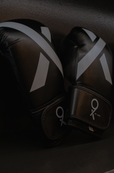 9x boxing gloves on the shelf.